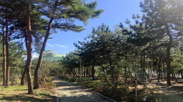 [크기변환]통영시, 2020년 도시숲·녹지공간 조성사업 평가 우수기관 선정-안정근린공원 내 산림조경숲.JPG